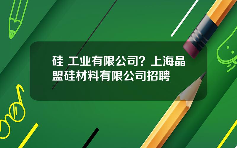 硅 工业有限公司？上海晶盟硅材料有限公司招聘